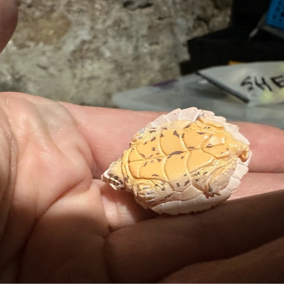 Reptile Figurine Set - Green, Yellow, Brown - Picture 6 of 11